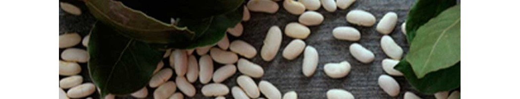 Tarbes dry white beans available for purchase at the best price